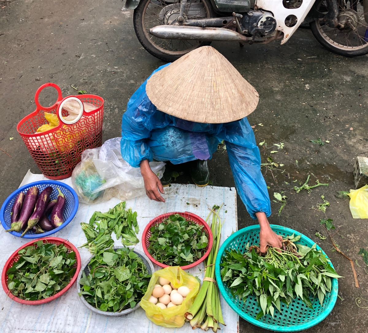 Top Reasons to Visit Vietnam with Kids