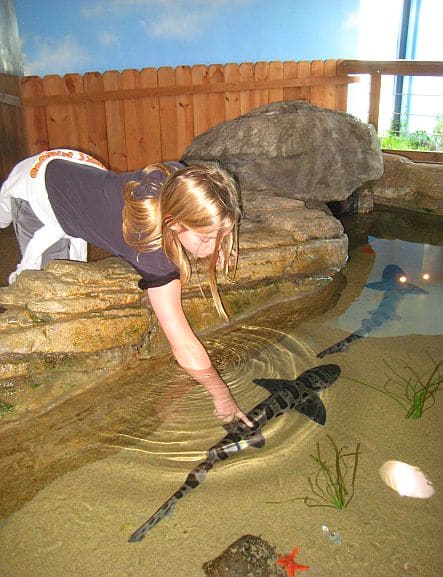 Touch Pools at the Aquarium of the Bay