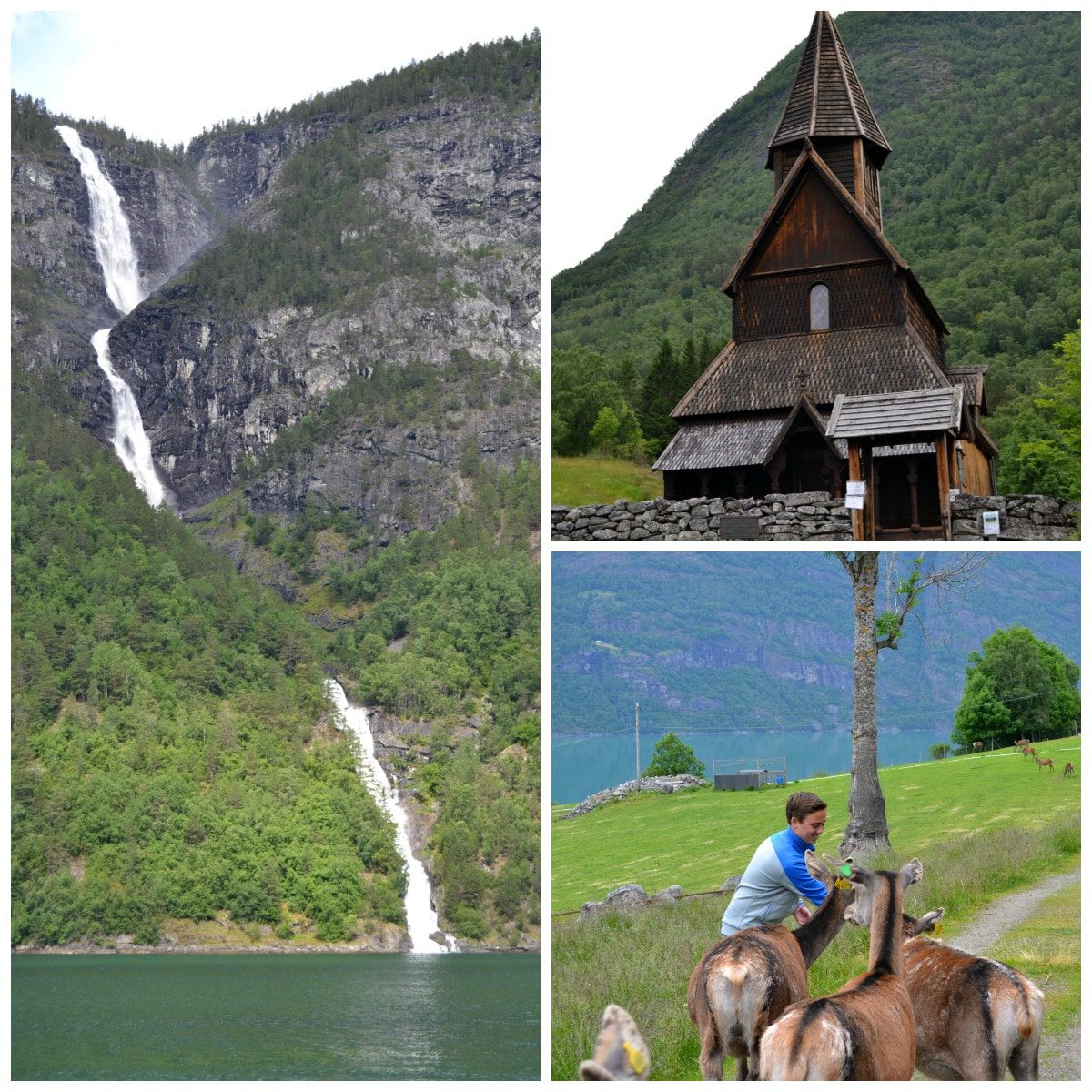 The Urnes deer farm and stave church near Skjolden; cruising the Nærøyfjord near Flam