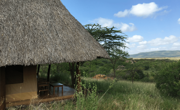 Best Tented Camps for an African Safari with Kids