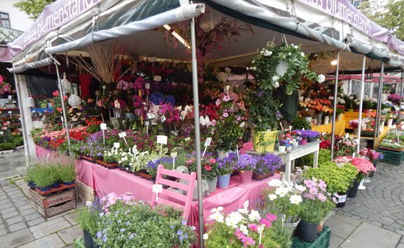 munich-viktualienmarkt