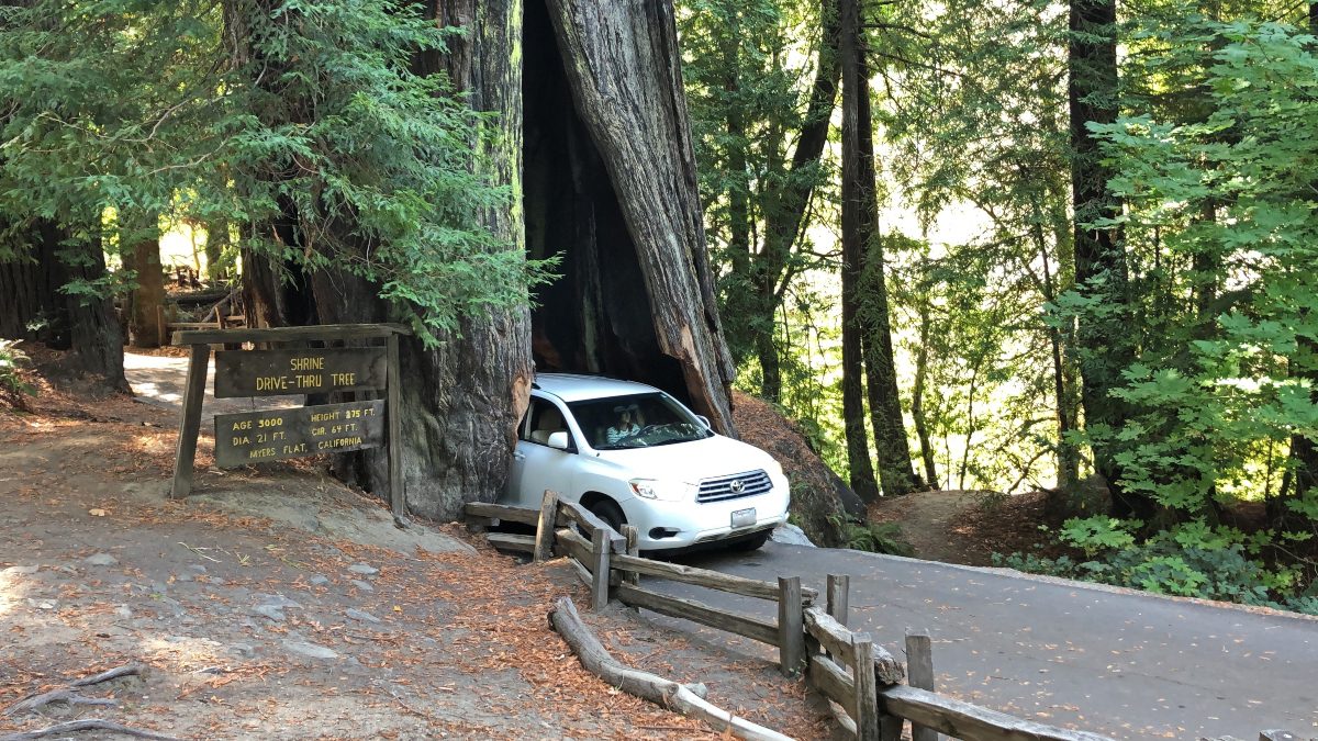 Humboldt County California Road Trip