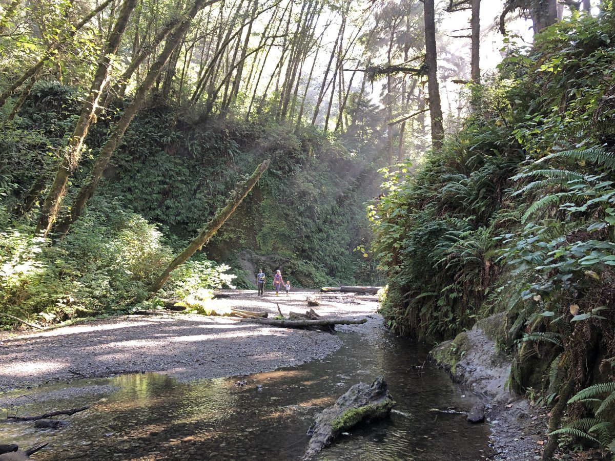 Humboldt County California Road Trip