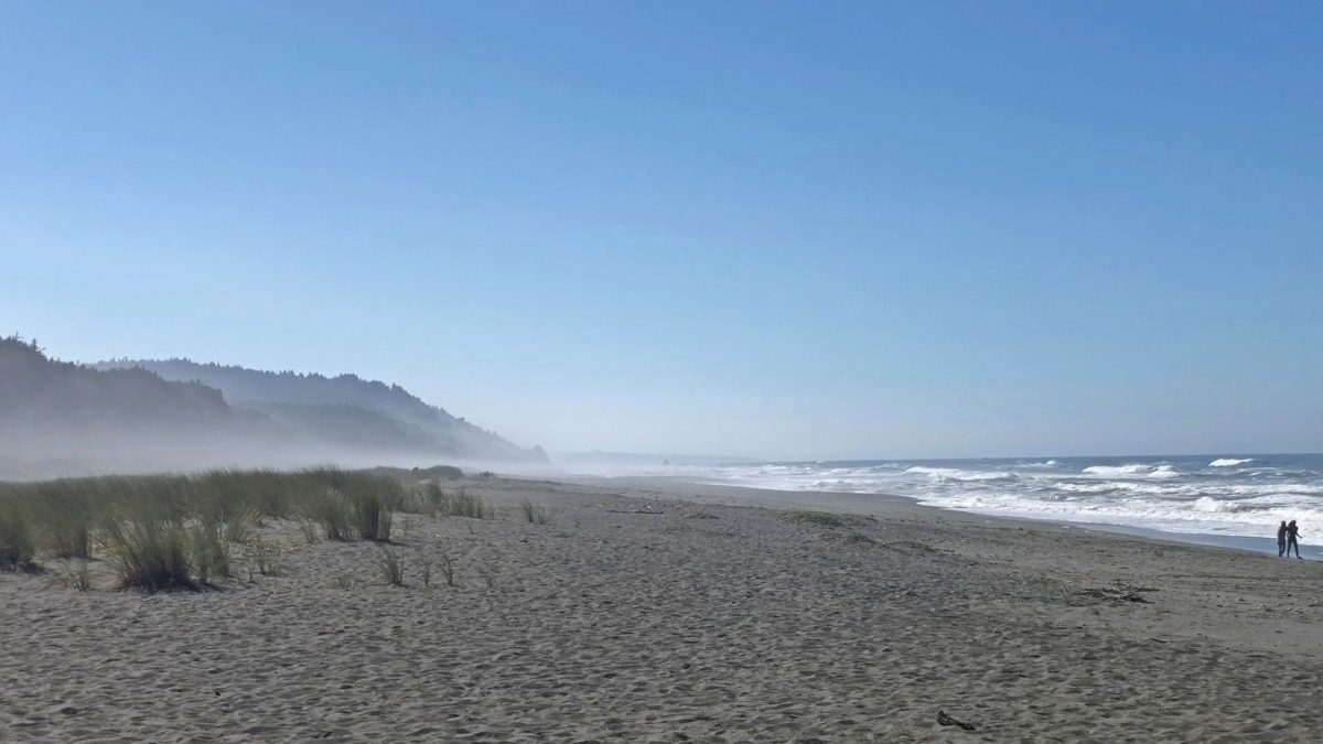 Humboldt County California Road Trip