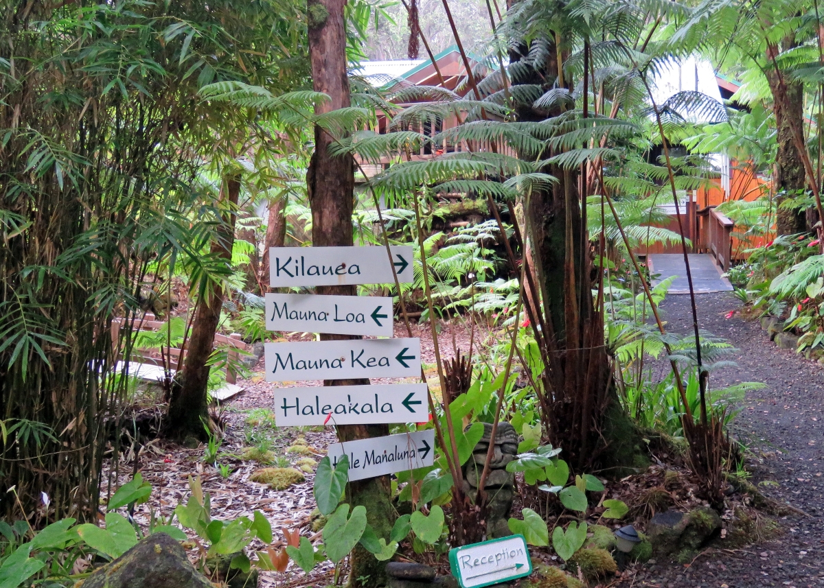 Things to Do on the Big Island with Kids