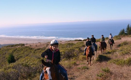 Horseback Riding in Mendocino