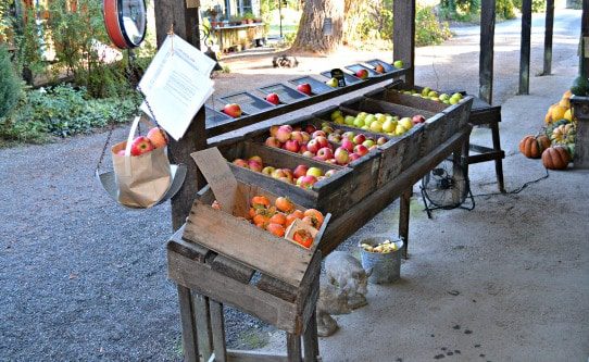 Philo Apple Farm