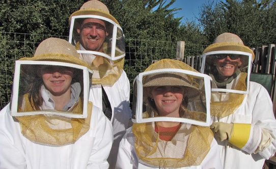 Carmel Valley Ranch Bee Experience