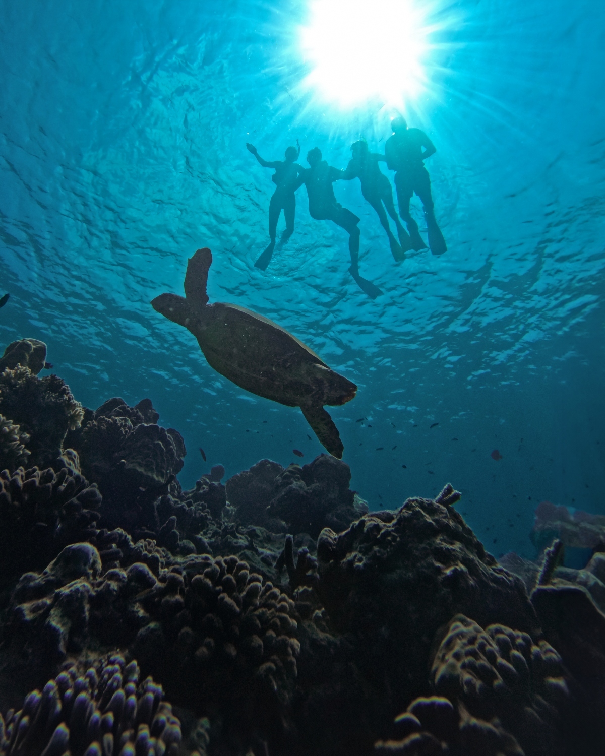 Reasons a Maldives Family Holiday is Worth It